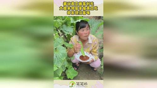 娱乐吃瓜酱家庭