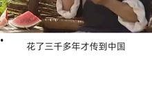 娱乐圈 吃瓜 涨知识,涨知识必备的娱乐圈揭秘