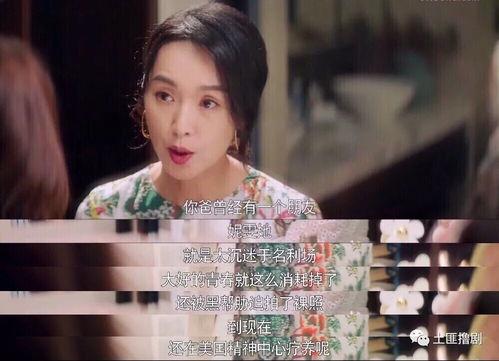 一线吃瓜娱乐圈讲了什么,一线吃瓜，揭秘明星幕后故事