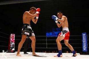 武林风日本比赛,中日武术精英同台竞技