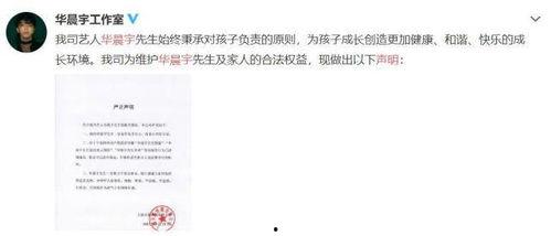 吃瓜娱乐圈文档,揭秘“吃瓜”背后的真相与内幕