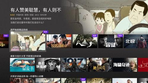 大片视频在线观看,大片视频在线观看盛宴