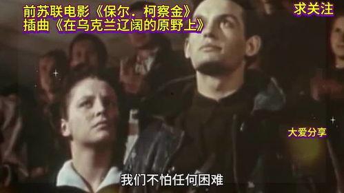 原野电影在线观看,在线观看，感受大地之歌的震撼