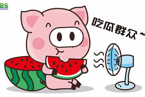 娱乐八卦一定吃瓜群众,揭秘“吃瓜群众”的八卦盛宴