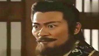 楚汉骄雄老版在线观看,重温历史风云，感受英雄豪情