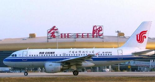 国际机场在线观看,全球航线的空中枢纽之旅