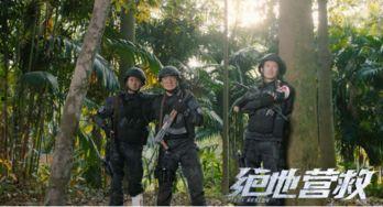 铁血护宝在线观看,传奇守护者的冒险征程