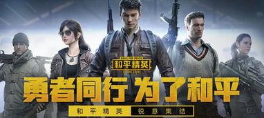 和平在线观看,探索和谐共生的数字世界