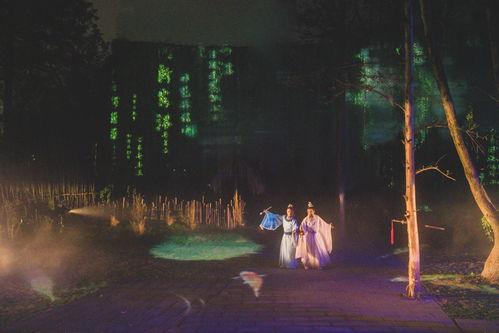 夜游电影在线观看,在线畅享电影盛宴