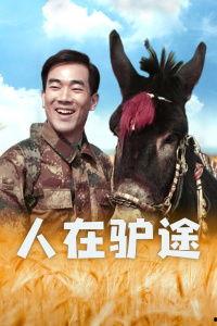 人在驴途电影在线观看,一场奇妙的驴背探险之旅