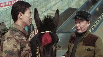 人在驴途电影在线观看,一场奇妙的驴背探险之旅
