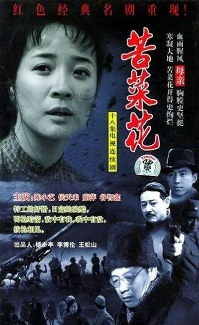 电视剧苦菜花在线观看,抗战岁月里的坚韧与抗争