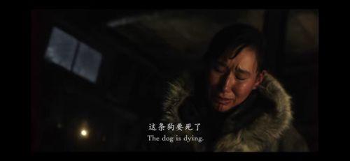多哥在线观看的,探索非洲文化之旅