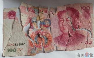 钞票在线观看,揭秘虚拟货币世界的风云变幻