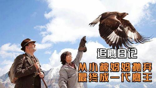 《鹰王》在线观看,翱翔天际的传奇英雄，探寻自由与力量的极致之旅