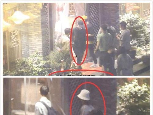 肖战杨紫娱乐吃瓜