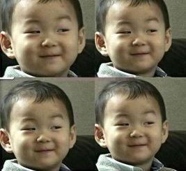 真实的娱乐圈吃瓜