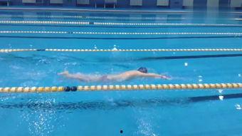 游泳在线观看,在线观看游泳赛事的精彩瞬间