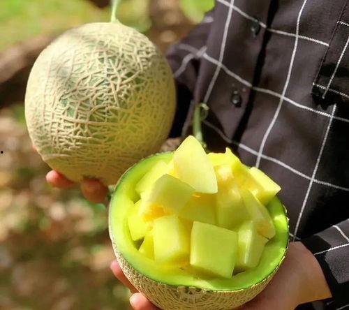 娱乐吃瓜图片高清壁纸