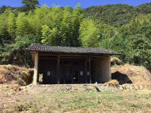 塘璜在线观看,揭秘神秘古村落的传奇故事