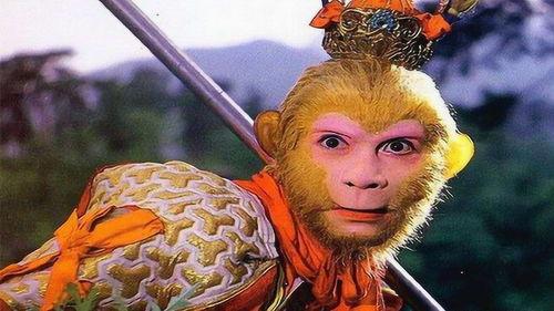 猴神在线观看,揭秘网络红人的崛起之路