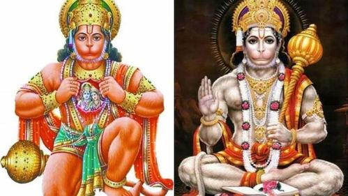 猴神在线观看,揭秘网络红人的崛起之路