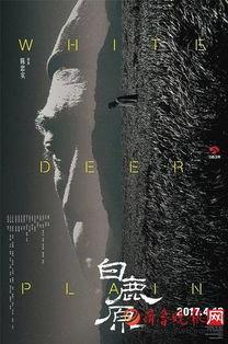 40集白鹿原在线观看,家族恩怨，命运交织