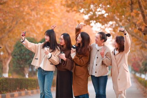 梧桐在线观看,穿越时空的浪漫邂逅