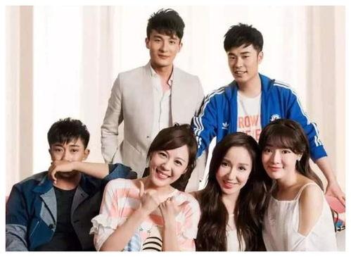 爱情公寓5免费观看在线,免费畅享，重温经典喜剧时光