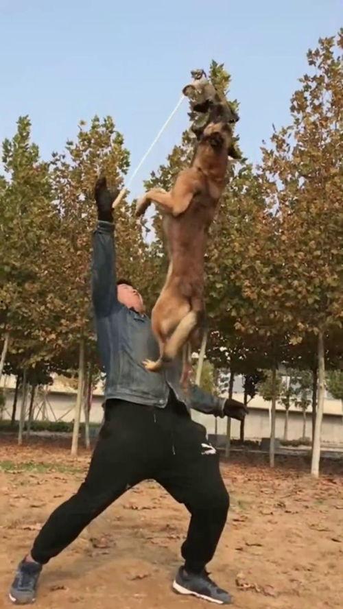 日本的上流社会,日本上流社会的奢华生活与礼仪规范揭秘