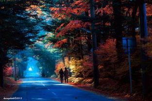 日本的上流社会,日本上流社会的奢华生活与礼仪规范揭秘