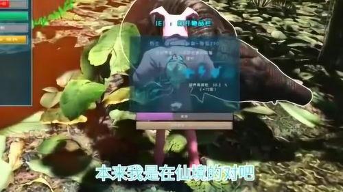 原始恐惧2在线观看,在线惊悚之旅，揭秘未知恐怖