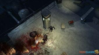 原始恐惧2在线观看,在线惊悚之旅，揭秘未知恐怖