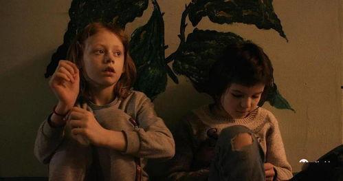 花咒电影完整版在线观看,惊悚悬疑，揭秘神秘花语背后的惊悚真相