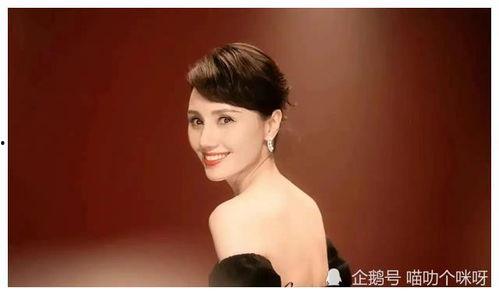 娱乐圈明星吃瓜文件