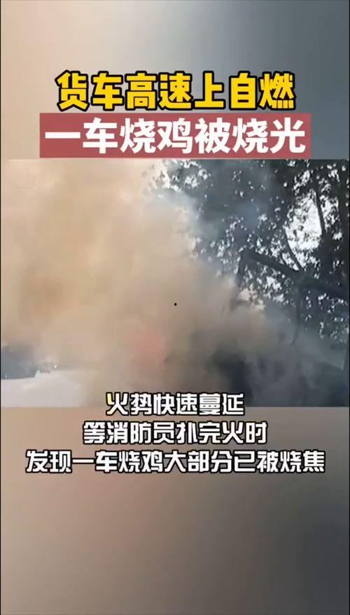 极度燃烧上在线观看,在线观看，燃情时刻尽在掌握