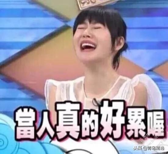 娱乐圈吃瓜短剧推荐文,短剧吃瓜指南，带你领略明星幕后故事