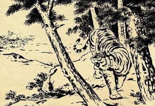 猛虎报恩在线观看,一场跨越生死的深情演绎